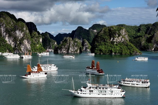 Tour Du Thuyền Hạ Long 1 Ngày Giá Tốt Nhất